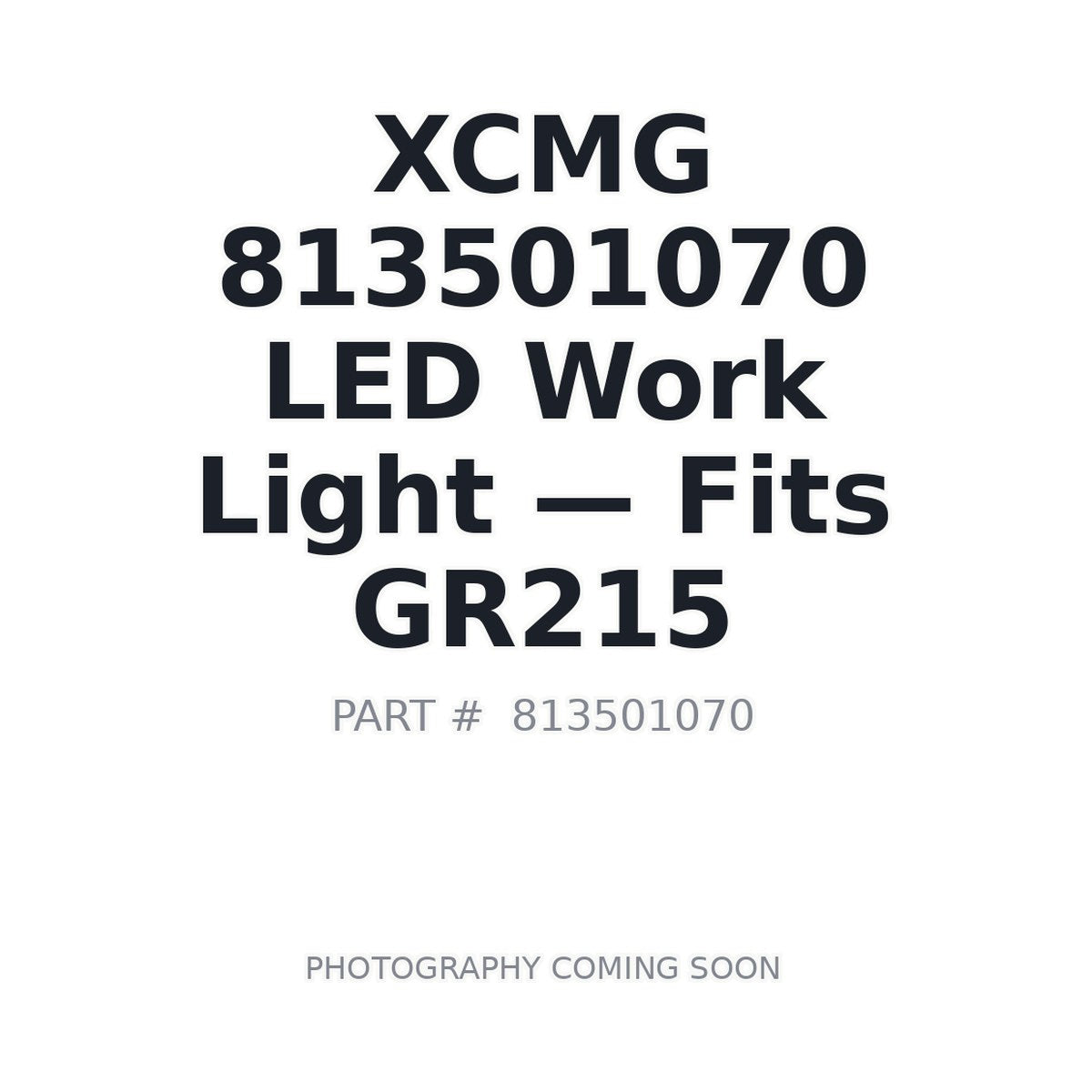 813501070 XCMG Lighting
