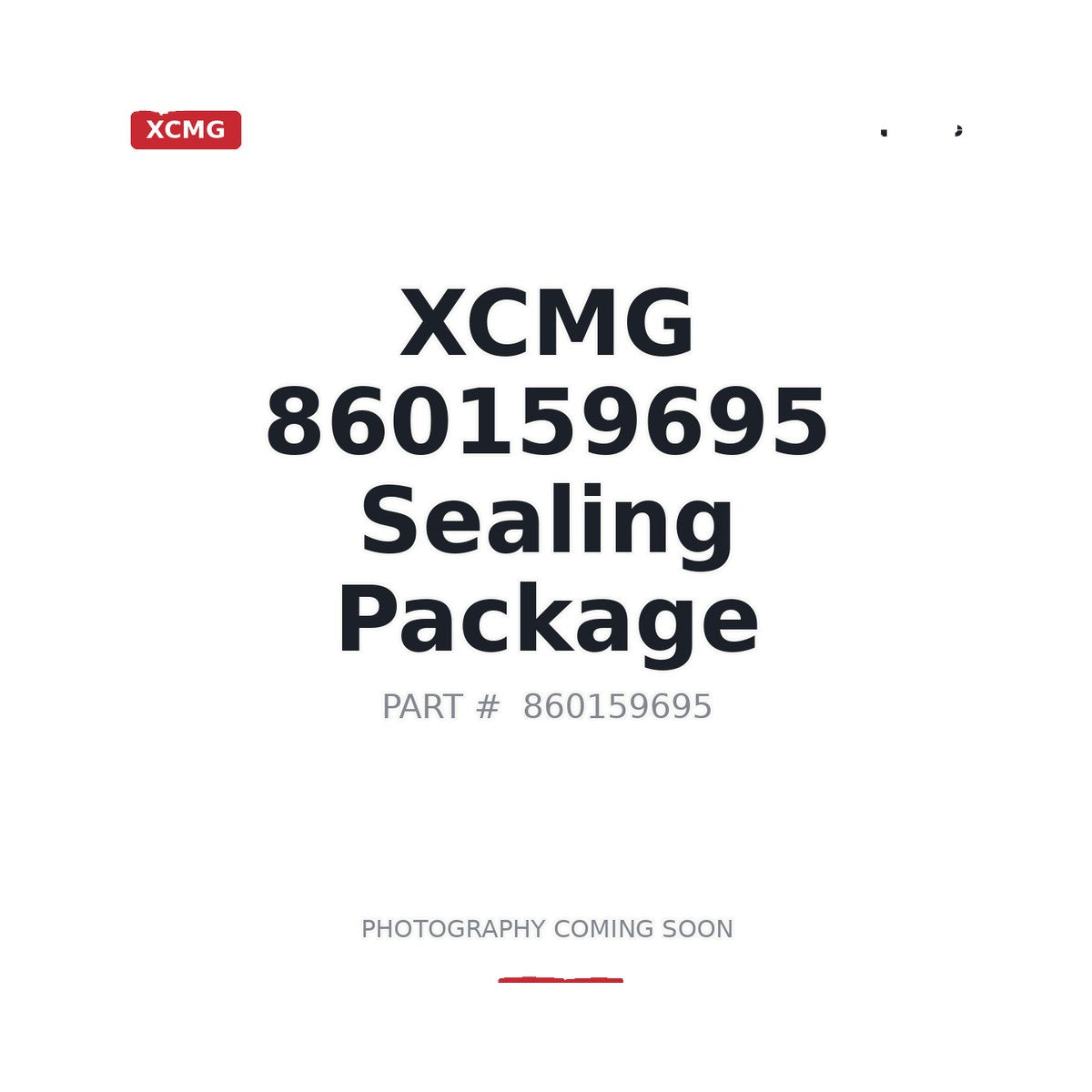 860159695 XCMG Seal Kit