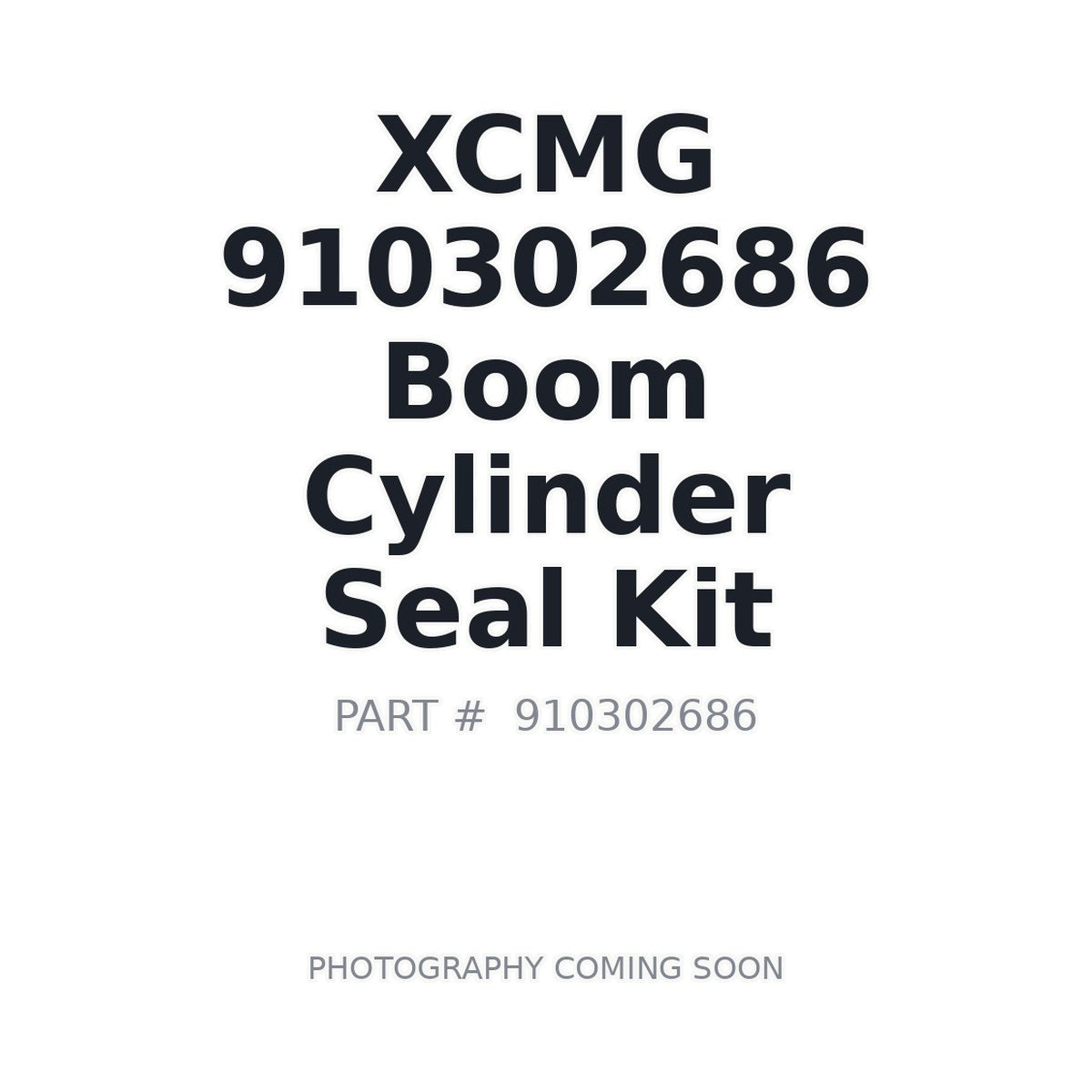 910302686 XCMG Seal Kit