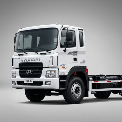 Hyundai 23 Ton Truck Parts