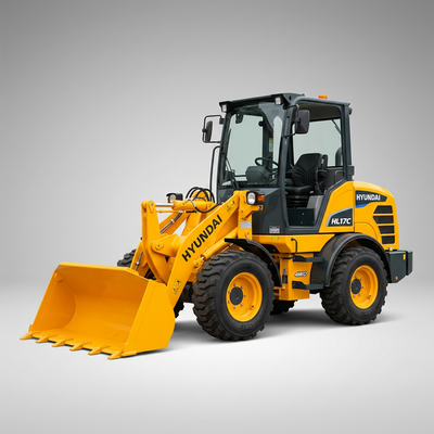 Hyundai HL17C Parts