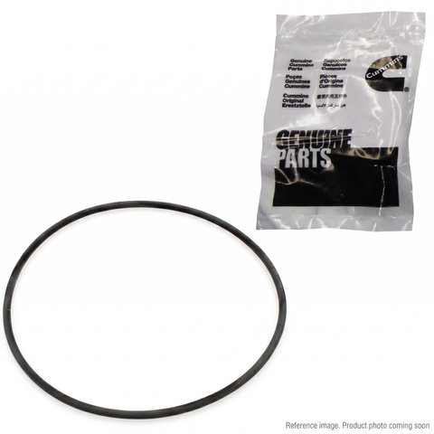 Genuine Cummins 3969698 P7100 Injection Pump O-Ring Seal B-Series