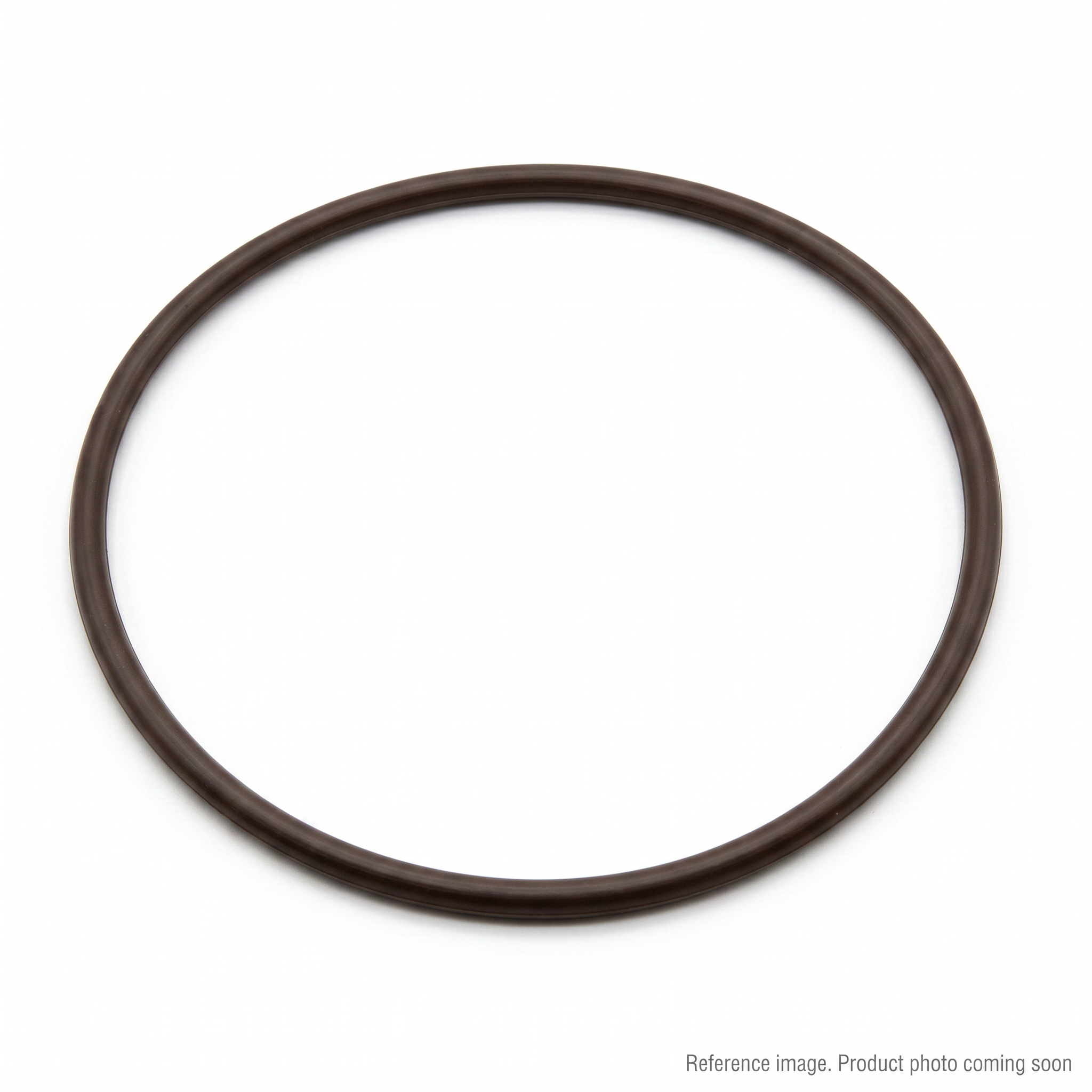 Cummins 3969698 P7100 Pump Timing Case O-Ring Seal alternate angle product photo | stocked in BC, ships Canada-wide