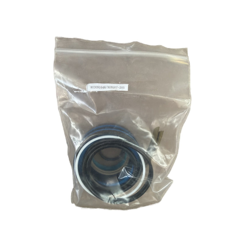 XCMG 803091648 Seal Kit XGYG07-205 Heavy Equipment