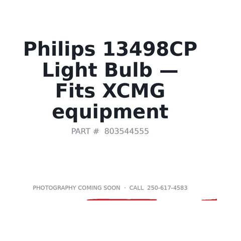 13498CP 13498CP Light Bulbs