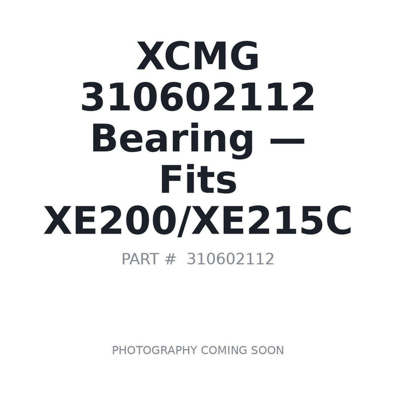 310602112 XCMG Bearings