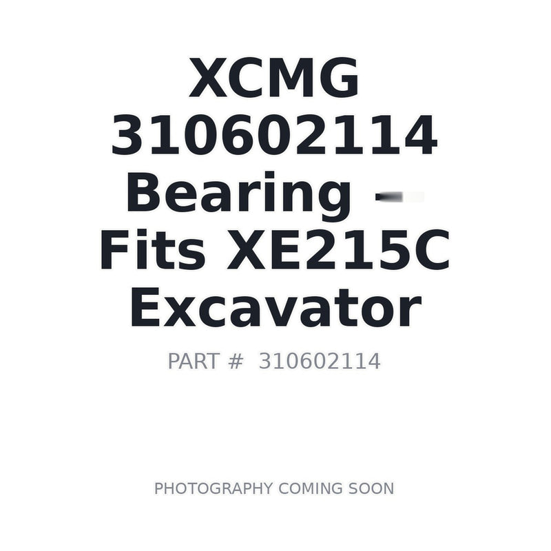 310602114 XCMG Bearings