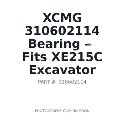 310602114 XCMG Bearings