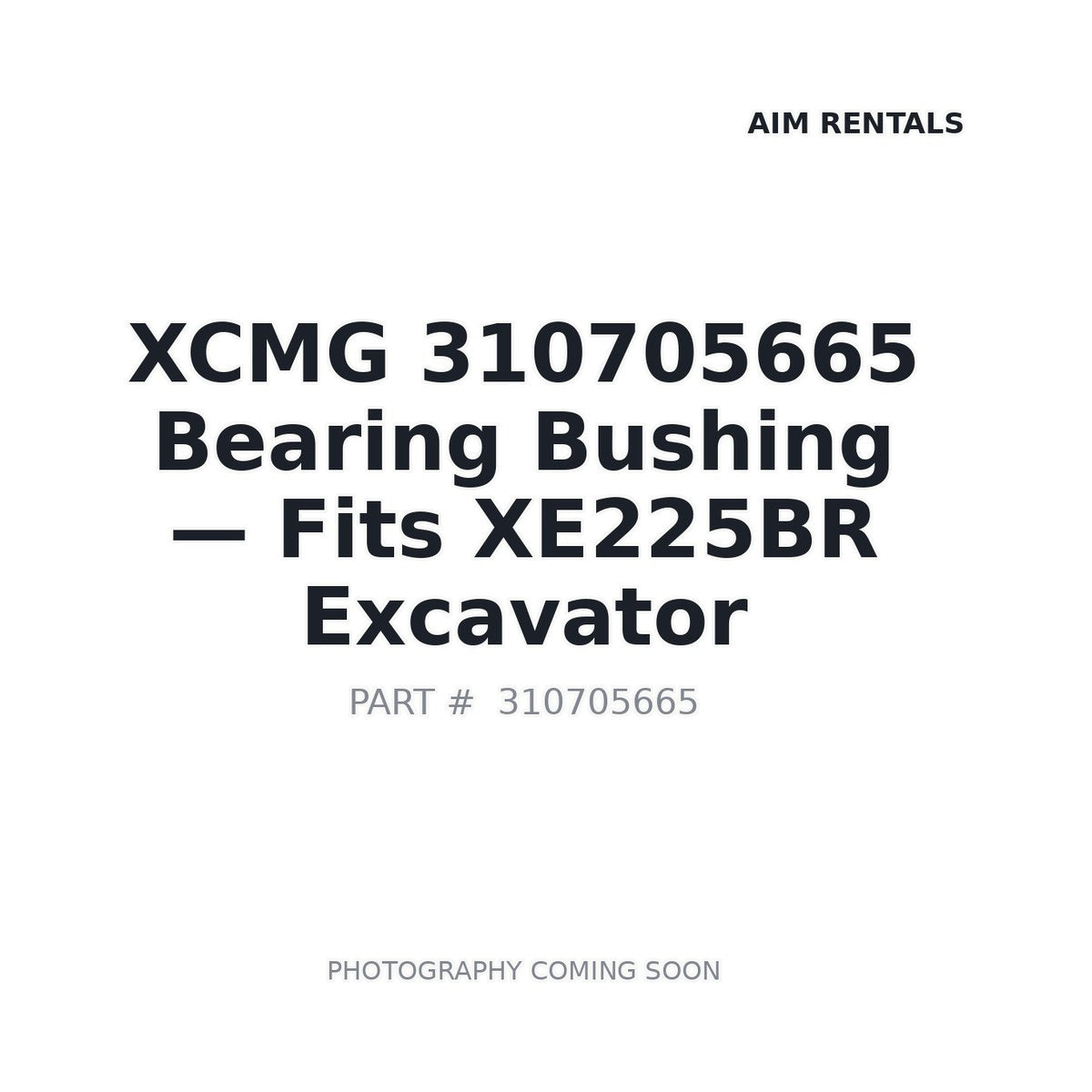310705665 XCMG Bushings