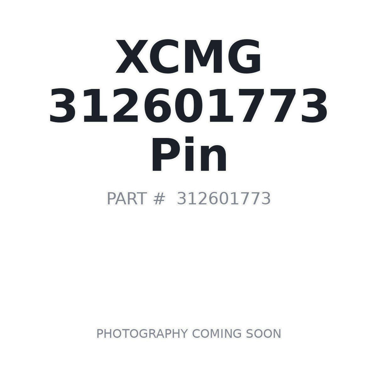 312601773 XCMG Pin