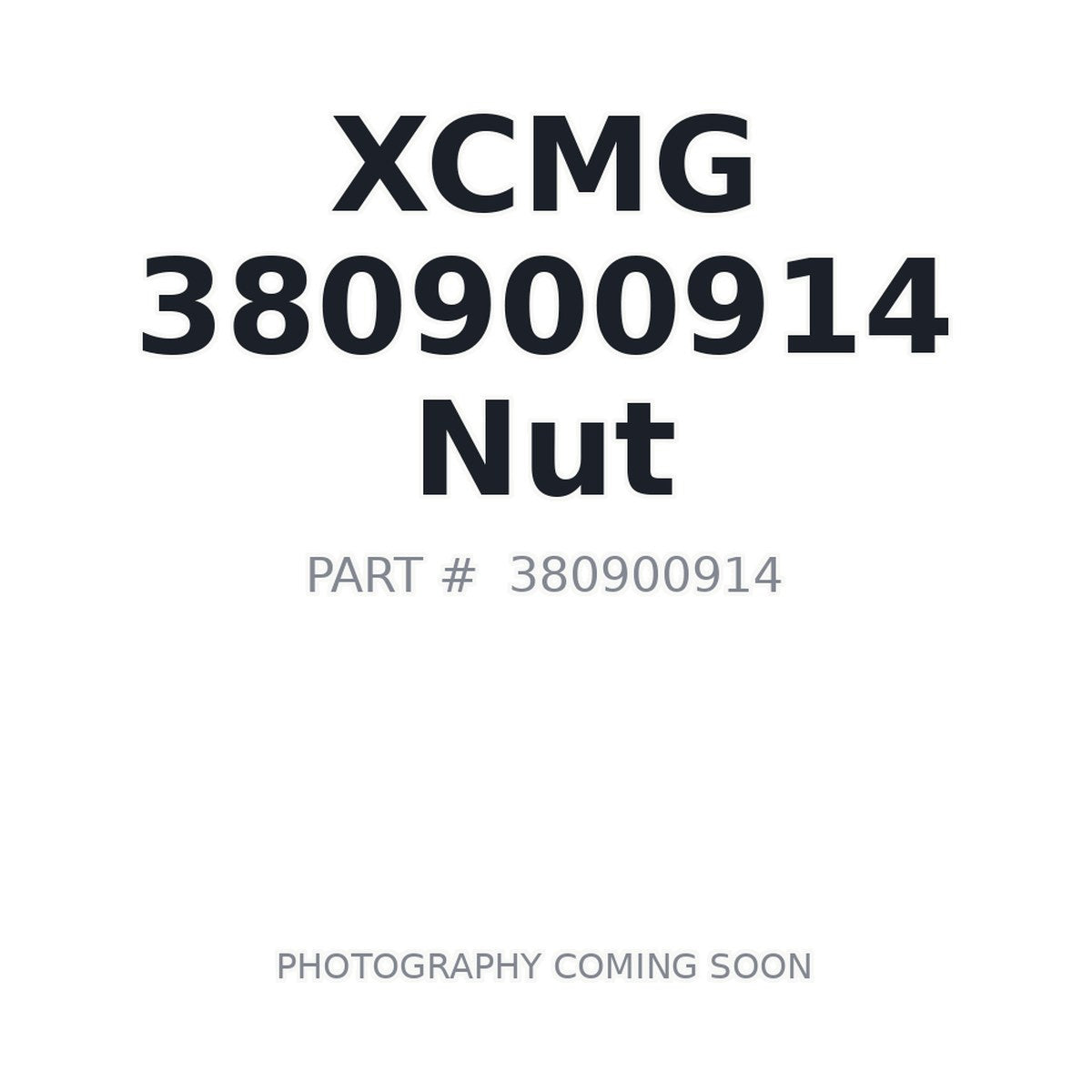 380900914 XCMG Nut