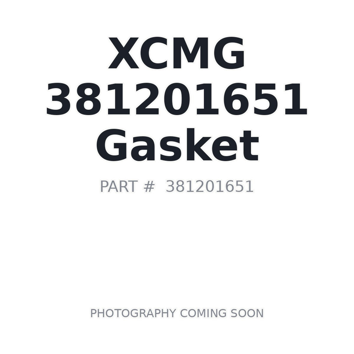381201651 XCMG Gasket