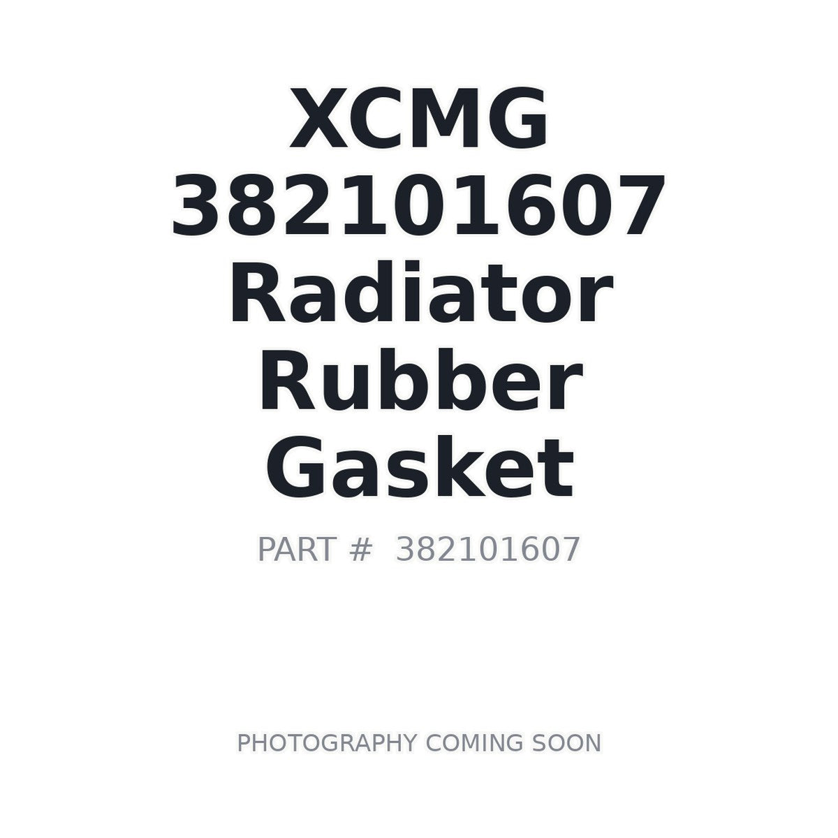 382101607 XCMG Gasket