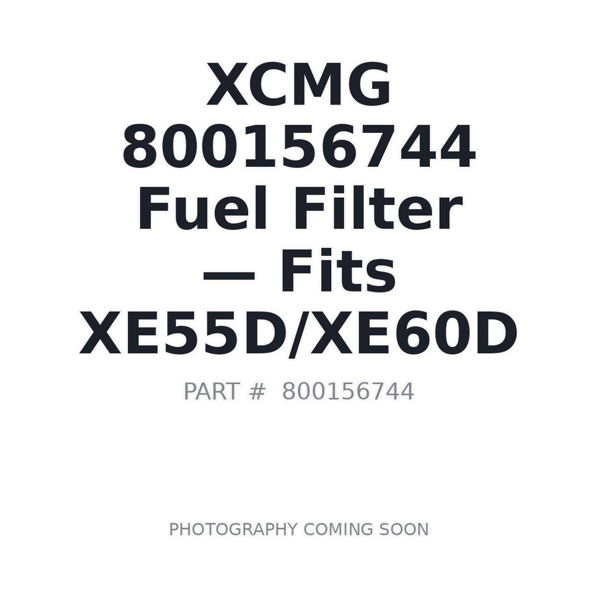 800156744 XCMG Filters
