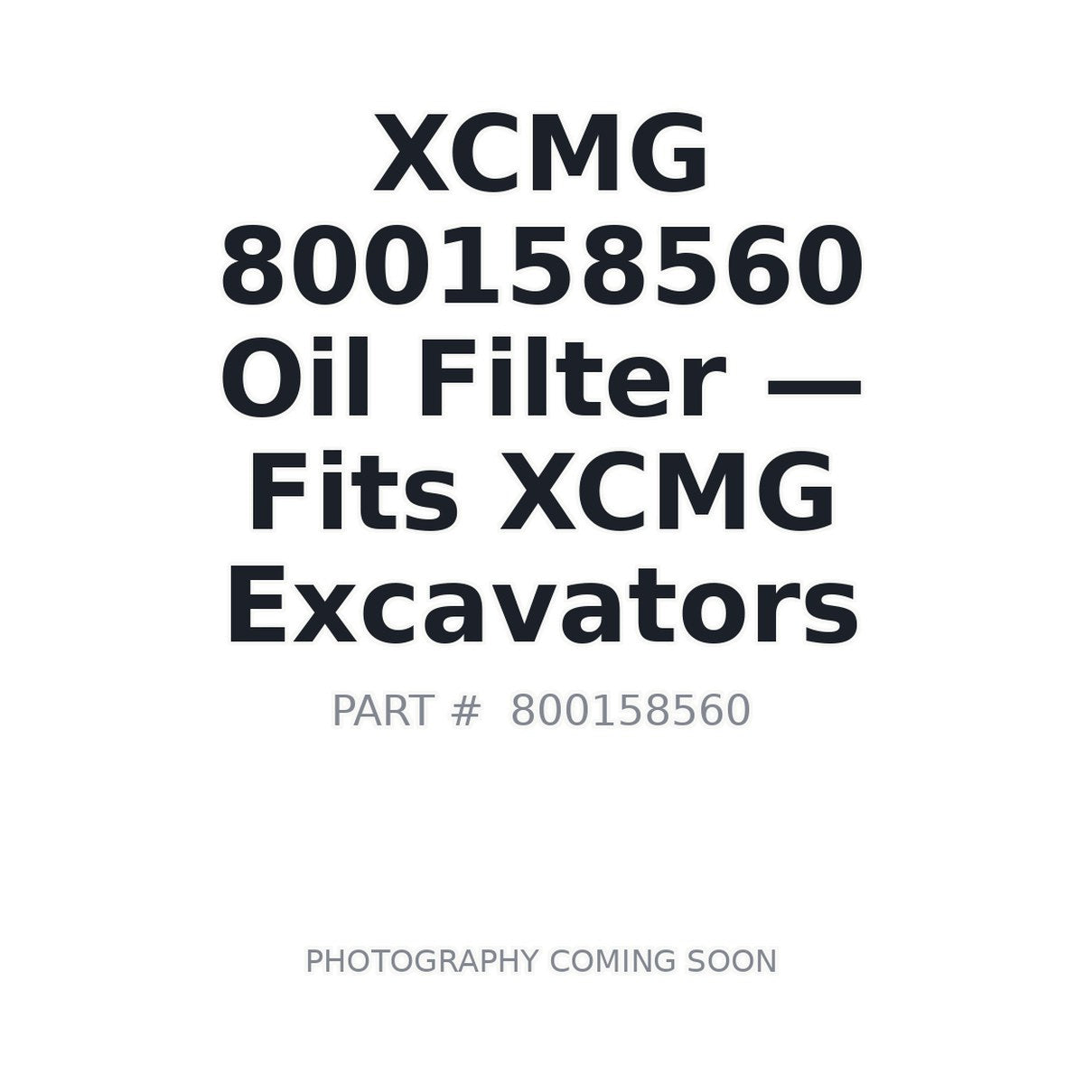 800158560 XCMG Filters