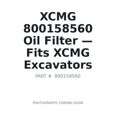 800158560 XCMG Filters