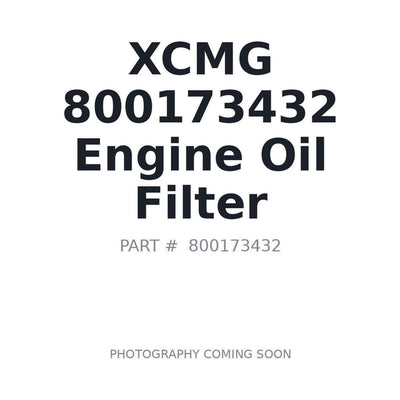 800173432 XCMG Lube Filter