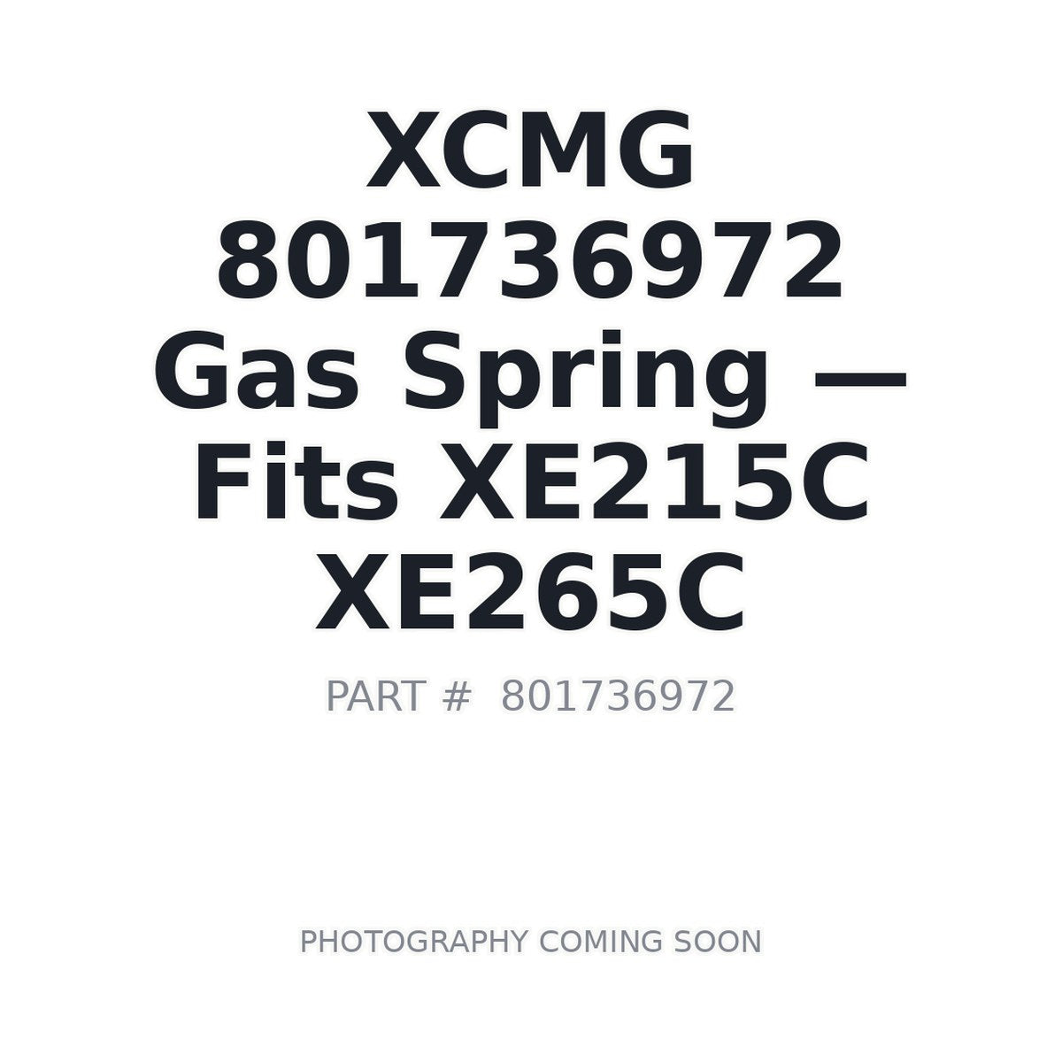 801736972 XCMG Gas Springs