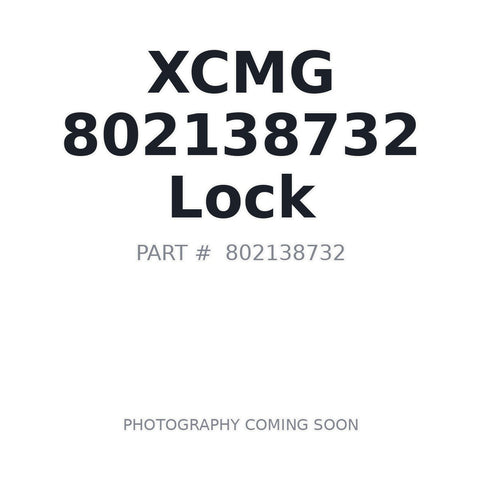 XCMG 802138732 Door Lock Assembly for XE40U Excavator