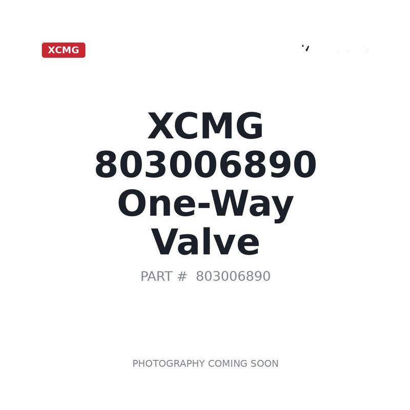 XCMG 803006890 Hydraulic Check Valve for GR2605 motor grader