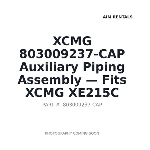 803009237-CAP XCMG Auxiliary Piping Assembly - Fits XCMG XE215C