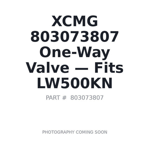 XCMG 803073807 S20A3 Check Valve for LW500KN ZL50GN wheel loaders