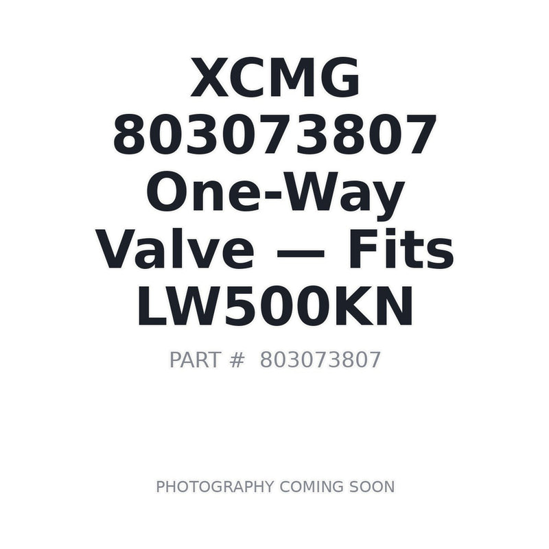 XCMG 803073807 S20A3 Check Valve for LW500KN ZL50GN wheel loaders