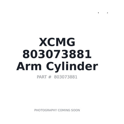 803073881 XCMG Cylinder