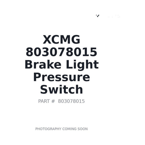 803078015 XCMG Sensor
