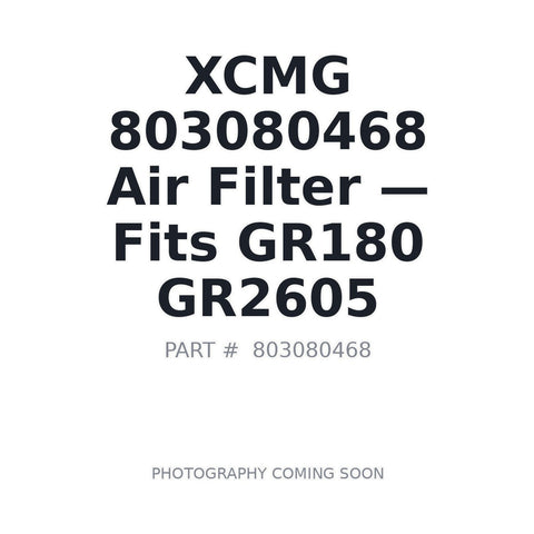 XCMG 803080468 Filter for GR180 GR2605 GR3205 motor graders