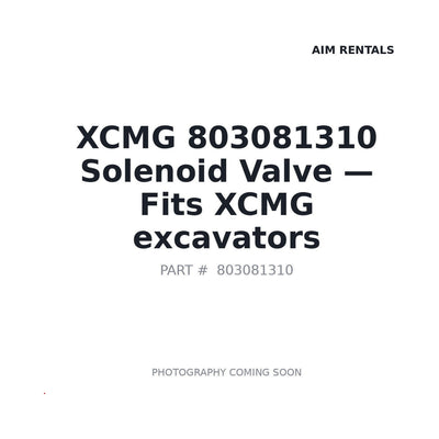 803081310 XCMG Hydraulic Valves