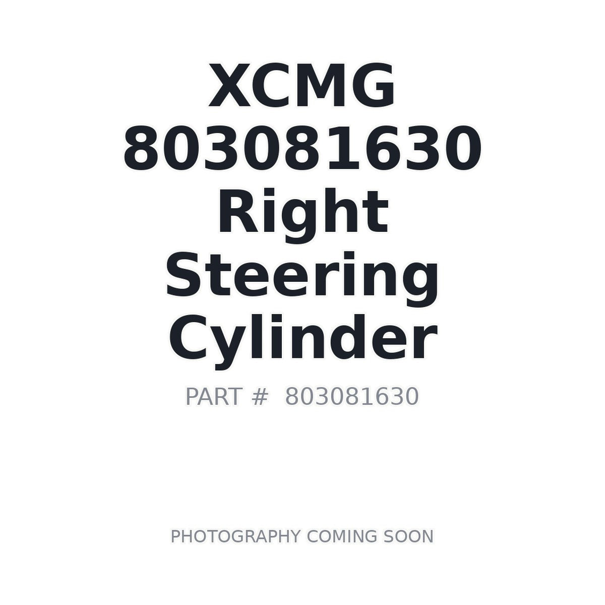 803081630 XCMG Cylinder