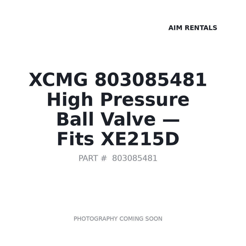 803085481 XCMG Valves