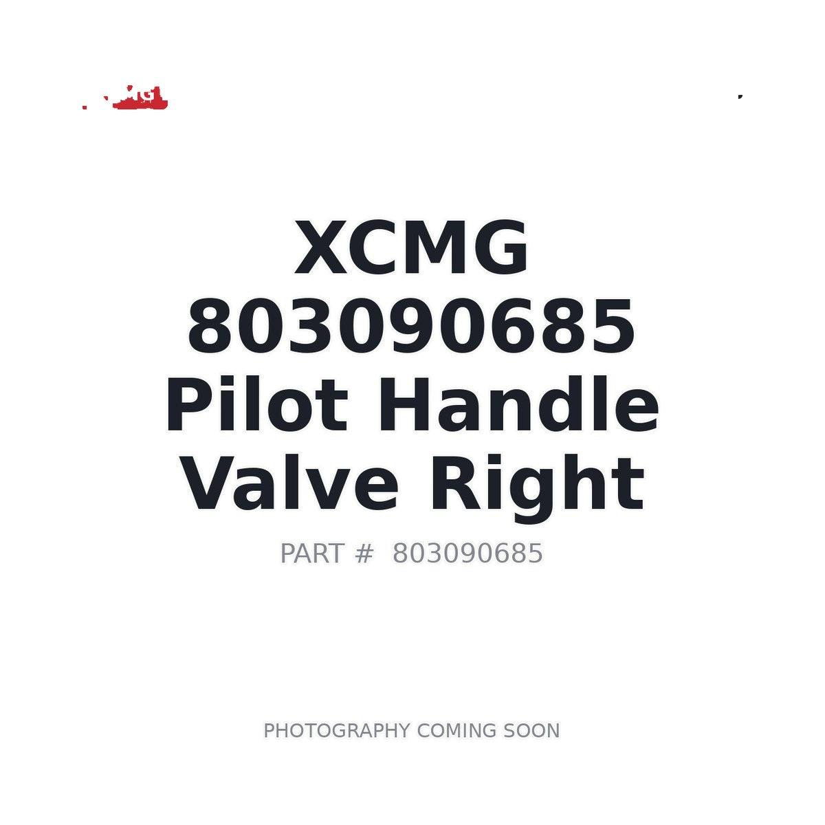 803090685 XCMG Valve