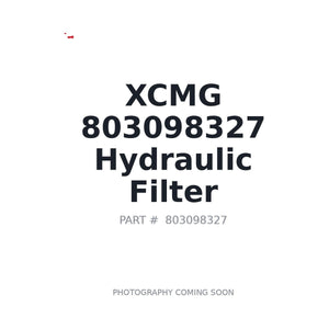 803098327 Hydraulic Filter by XCMG | Only 2 Left BC