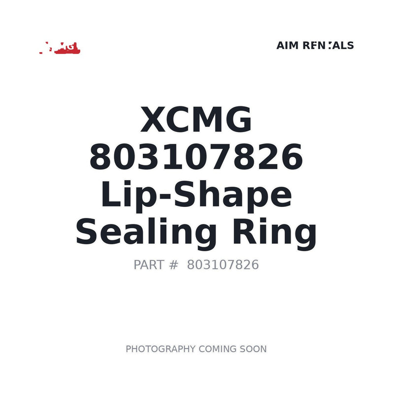 803107826 XCMG O-ring