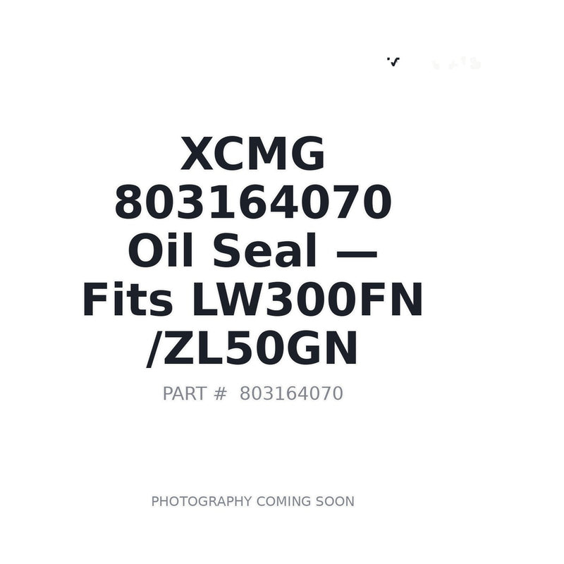 803164070 XCMG Hydraulic Seals