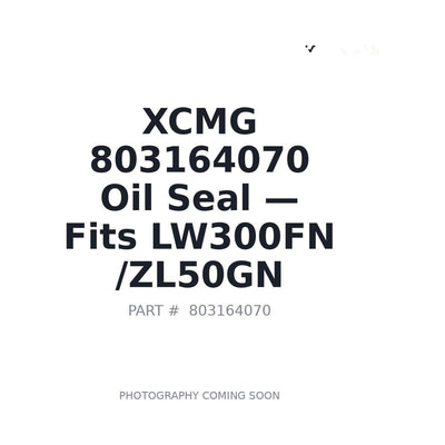 803164070 XCMG Hydraulic Seals