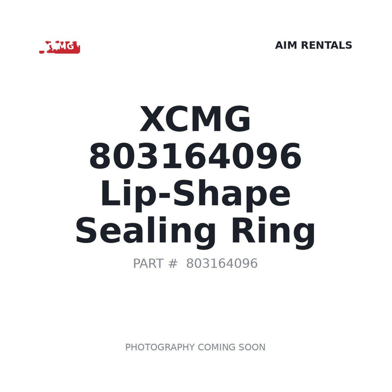 803164096 XCMG O-ring