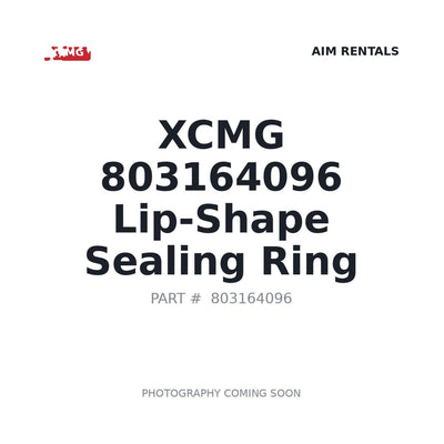 803164096 XCMG O-ring
