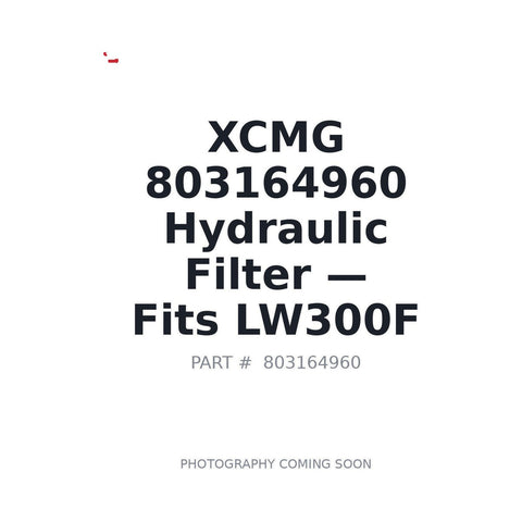 803164960 XCMG Filters
