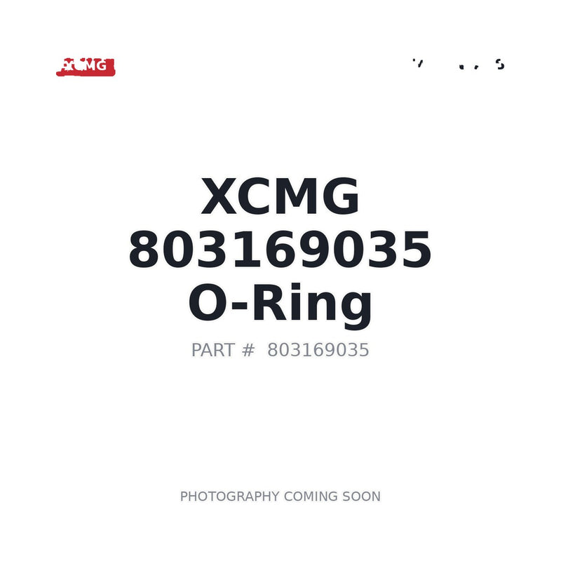 Genuine XCMG 803169035 O-Ring 375×5.3 GB3452.1 Wheel Loader