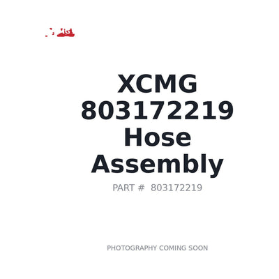 803172219 XCMG Hose