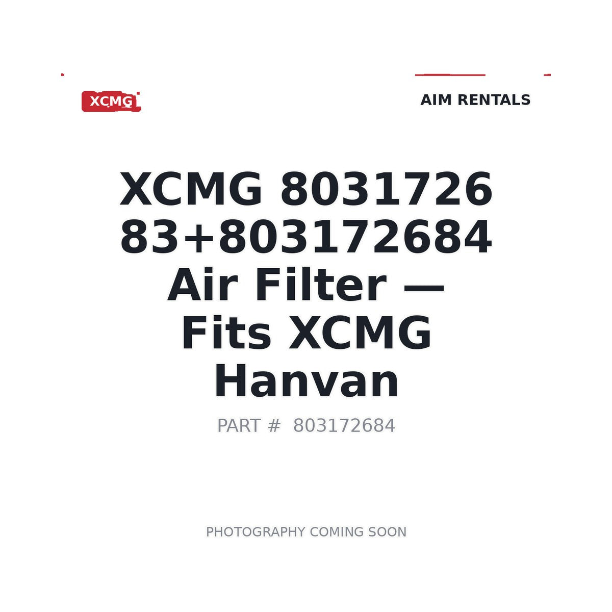 803172683+803172684 XCMG 803172683+803172684 Filters