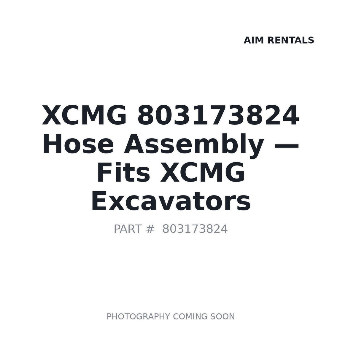803173824 XCMG Hydraulic Hoses