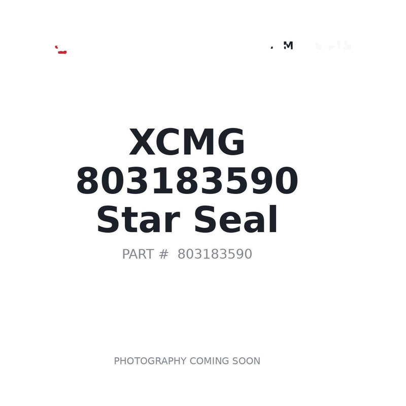 Genuine XCMG 803183590 Star Seal Ring QRAR04255-V7002 142.47×3.53mm LW500BR