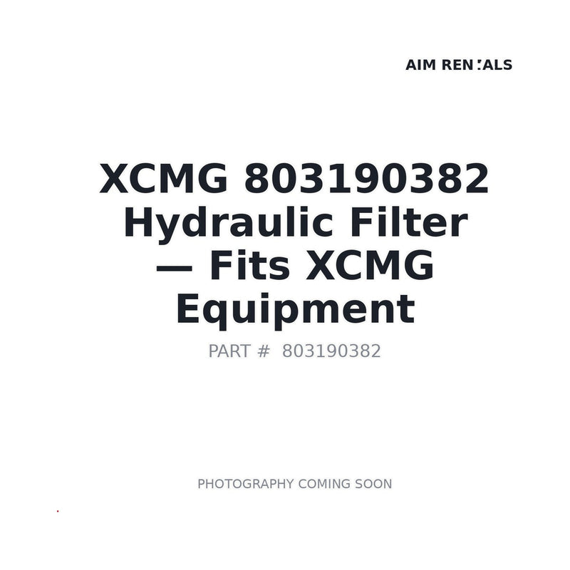 Genuine XCMG 803190382 Hydraulic Return Filter RHK800G10B 319×113.5mm