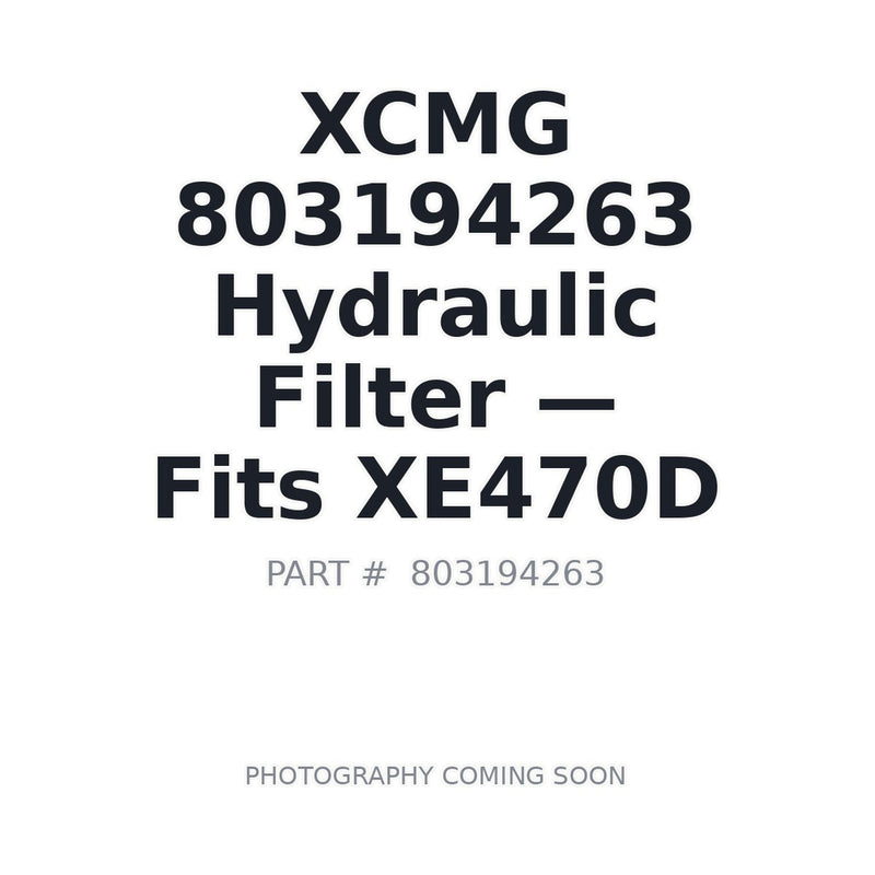 XCMG 803194263 Hydraulic Return Oil Filter EF-128B-100 XE470D | In Stock Prince George BC