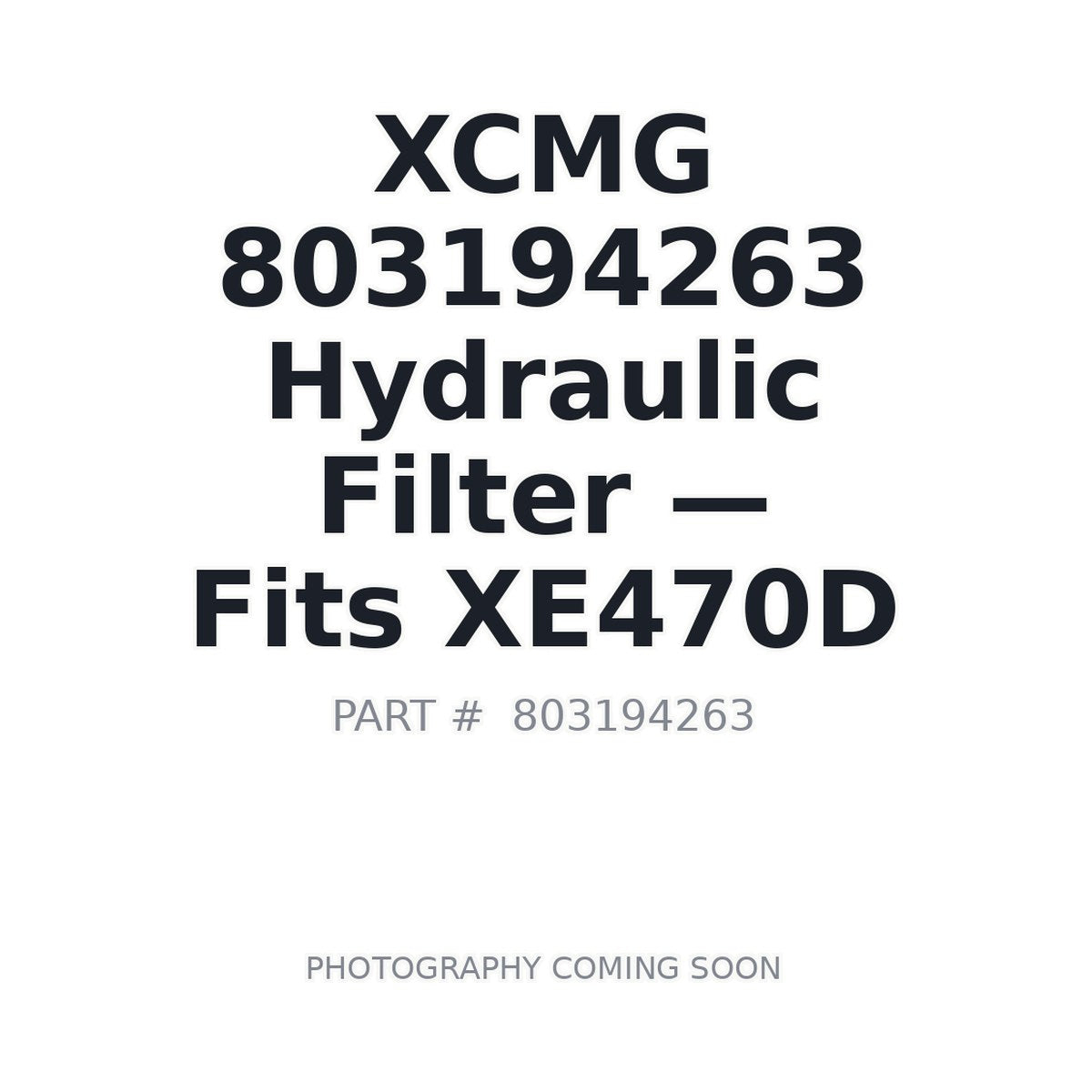 803194263 XCMG Filters