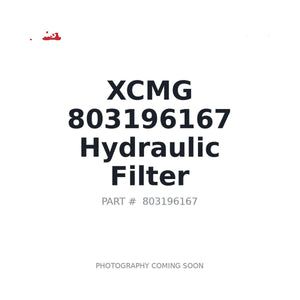 803196167 Hydraulic Filter by XCMG | Only 2 Left BC